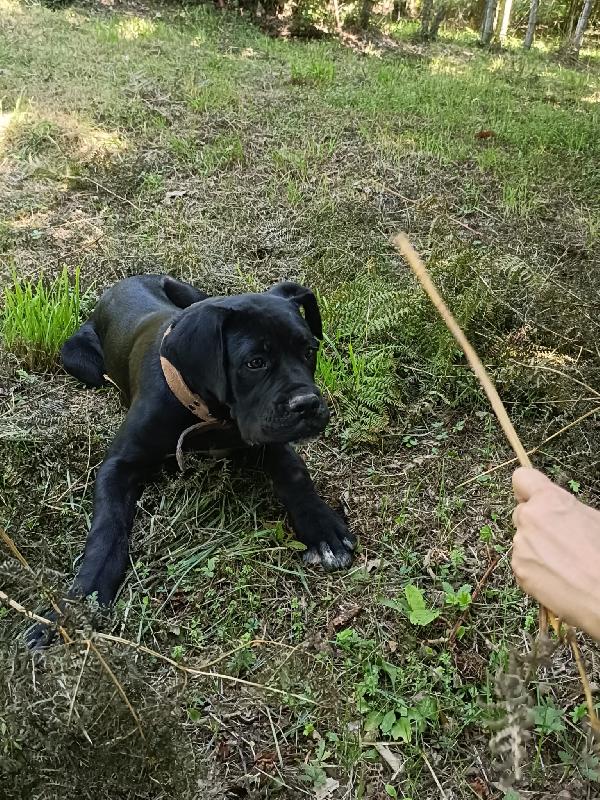 Ulisse Foto 7